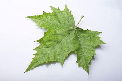 《同舟共济》将于11月22日拔锚起航！